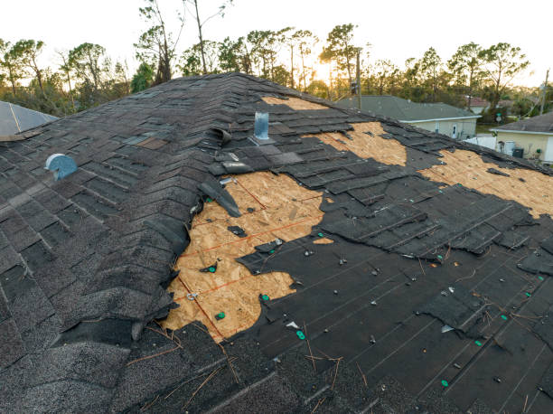 Asphalt Shingles Roofing in St Clairsville, OH